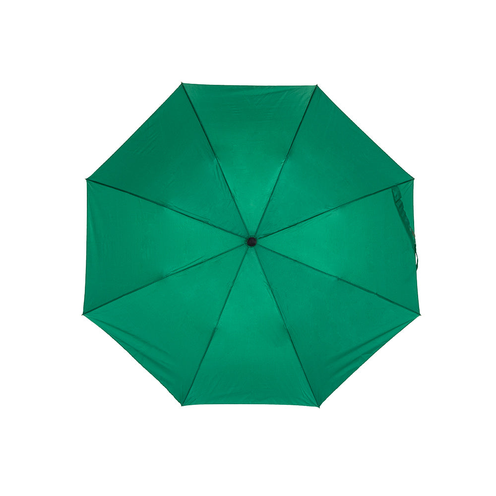 Meadow Mist Auto-Open Umbrella – All-Weather Green Elegance